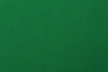 Baumwoll-Feincord für Hexen - Grün 