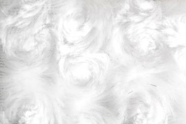 Königlicher Fellstoff Curley - Weiß 