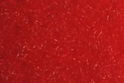 Master 25 Meter Flauschband - 30 mm breit - selbstklebend Rot